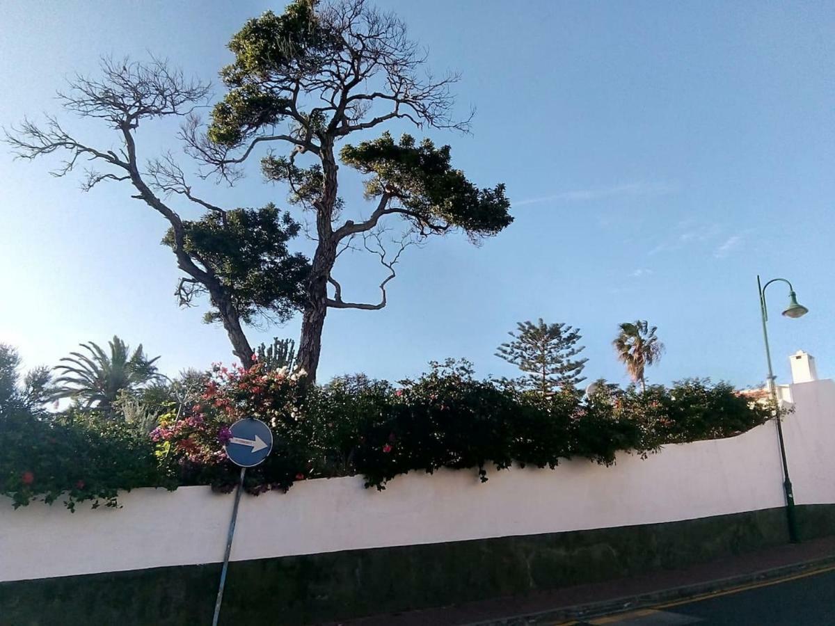 Apartamento Canico Gardensea Exterior foto